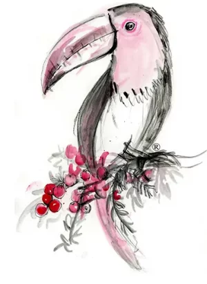 Pink Toucan